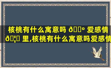 核桃有什么寓意吗 🐺 爱感情 🦋 里,核桃有什么寓意吗爱感情里